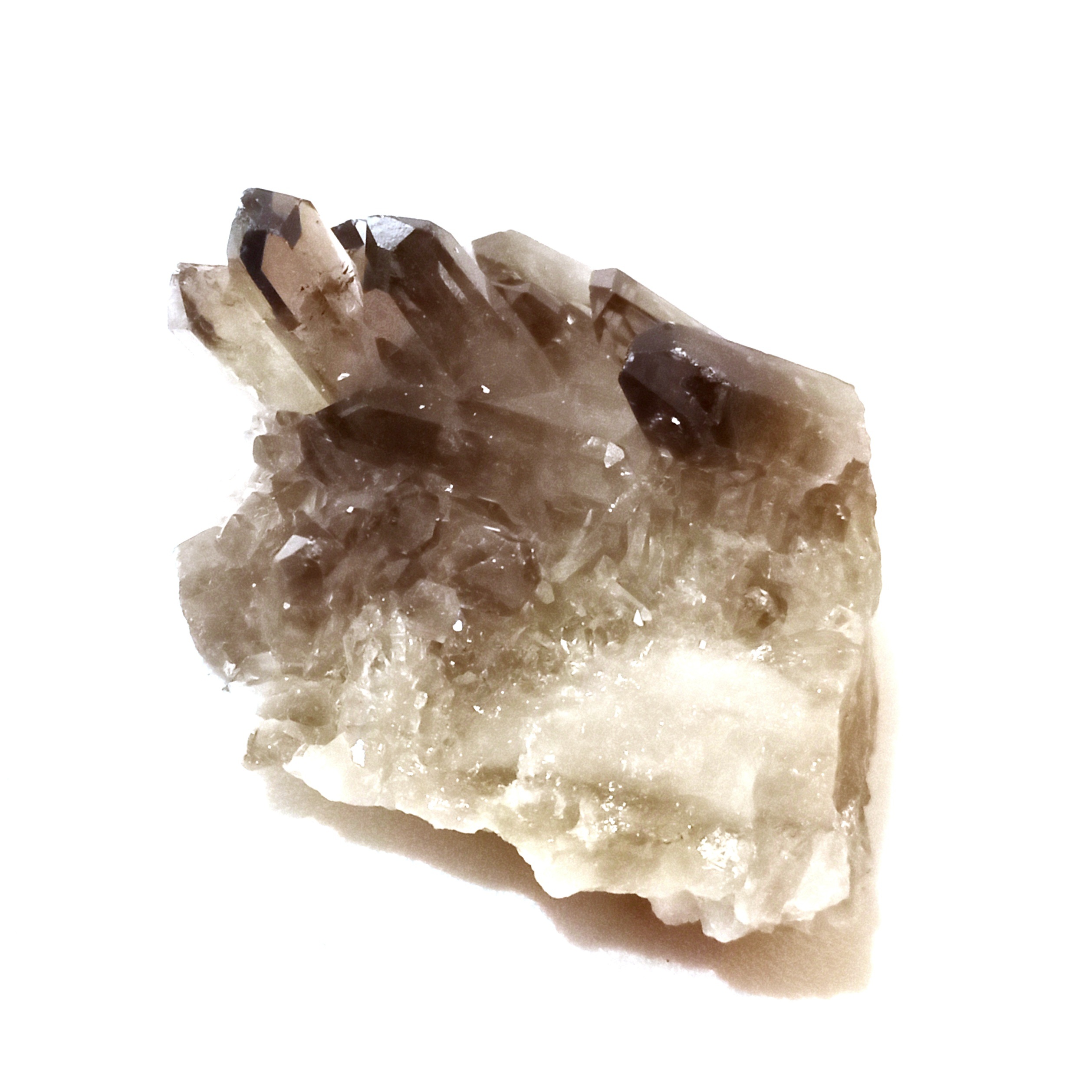 Drůzička záhněda Morion 3,5 cm