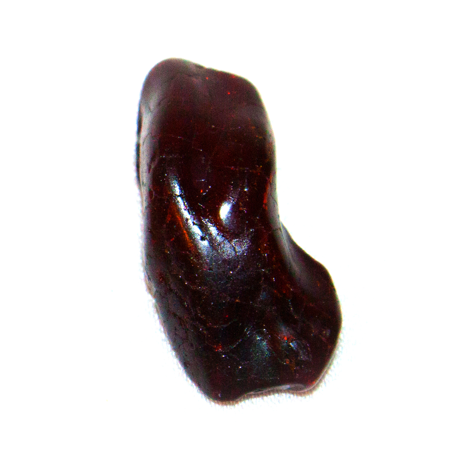 Jantar - 3 cm